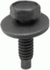 10823_ht.jpg