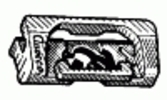 14719.jpg