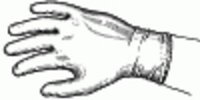16005.jpg