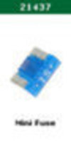 21437_hni.jpg