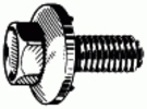 9756.jpg