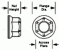 A12517.jpg