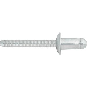 GM Inner Wheelhouse Rivet 1/4'' Diameter 0.132''- 0.211'' Grip Steel/Steel